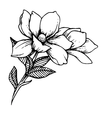 Flower Tattoo Meaning, PNG and SVG