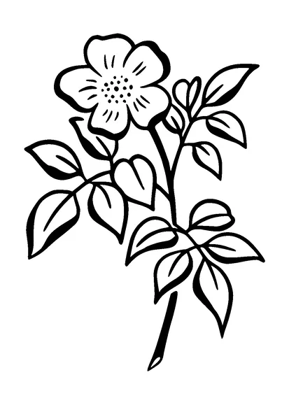 Flower Tattoo Meaning, PNG and SVG