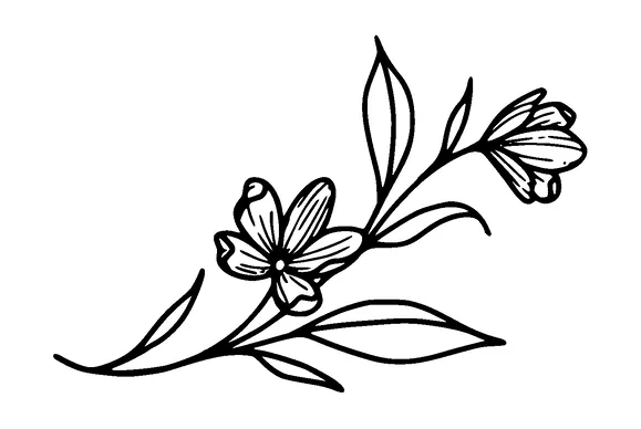 Flower Tattoo Meaning, PNG and SVG