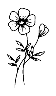 Flower Tattoo Meaning, PNG and SVG