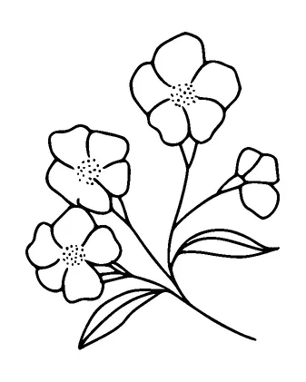 Flower Tattoo Meaning, PNG and SVG