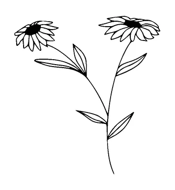 Flower Tattoo Meaning, PNG and SVG