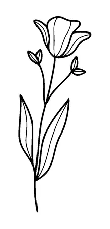 Flower Tattoo Meaning, PNG and SVG