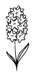 Flower Tattoo Meaning, PNG and SVG