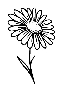 Flower Tattoo Meaning, PNG and SVG