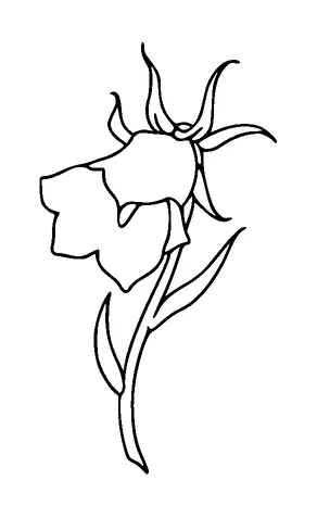 Flower Tattoo Meaning, PNG and SVG