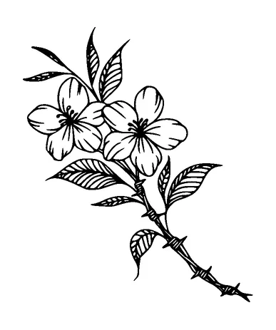 Flower On Barbed Wire Tattoo Meaning, PNG and SVG