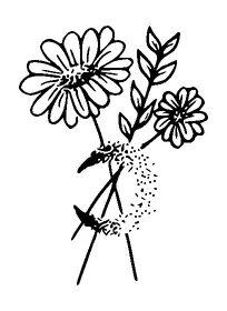 Flowers And Moon Tattoo Meaning, PNG and SVG