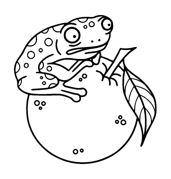 Frog On Orange Tattoo Meaning, PNG and SVG