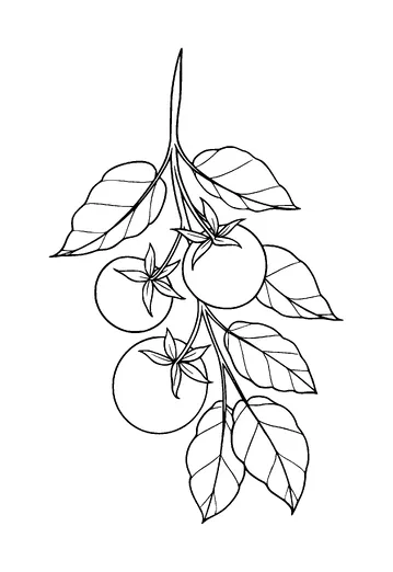 Fruit Branch Tattoo Meaning, PNG and SVG