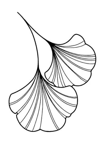 Ginkgo Leaves Tattoo Meaning, PNG and SVG