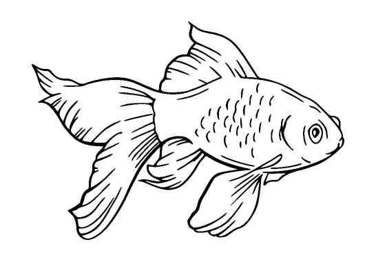 Gold Fish Tattoo Meaning, PNG and SVG