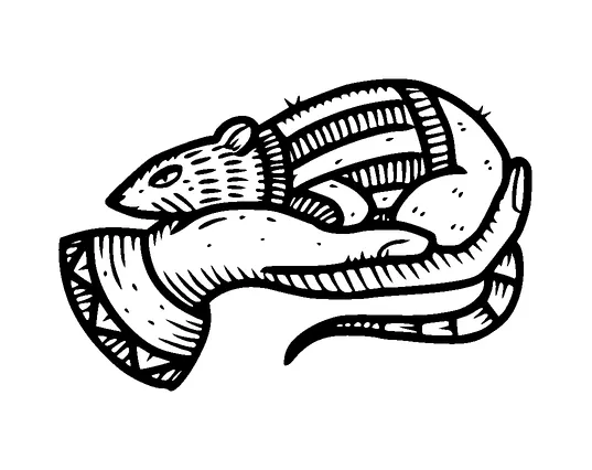 Hand Holding Rat Tattoo Meaning, PNG and SVG