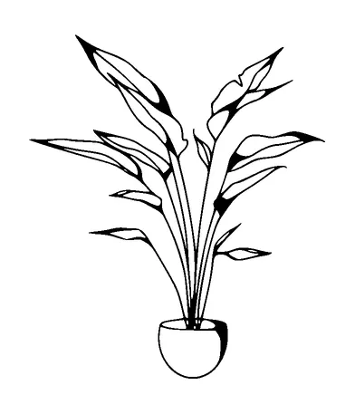 Home Plant Tattoo Meaning, PNG and SVG