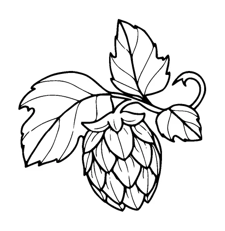 Hop Cone And Leaf Tattoo Meaning, PNG and SVG