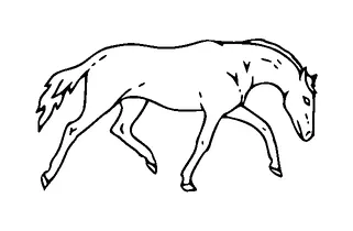 Horse Tattoo Meaning, PNG and SVG