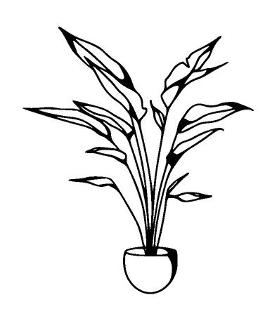 House Plant Tattoo Meaning, PNG and SVG