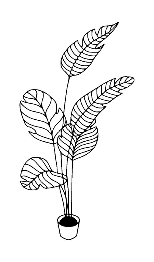 House Plant Tattoo Meaning, PNG and SVG