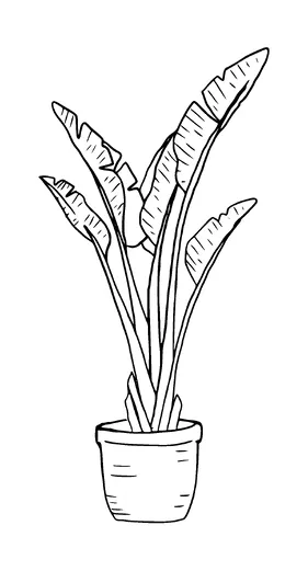 House Plant Tattoo Meaning, PNG and SVG