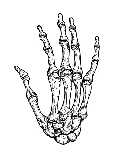 Human Hand Skeleton Tattoo Meaning, PNG and SVG