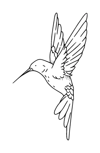 Humming Bird Tattoo Meaning, PNG and SVG