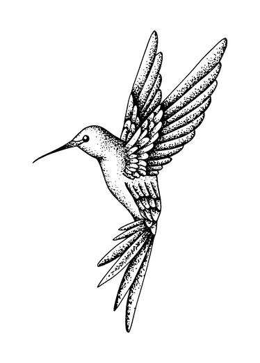 Humming Bird Dotted Tattoo Meaning, PNG and SVG