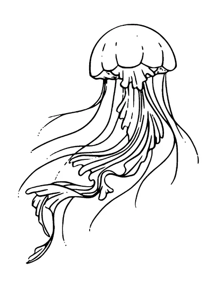 Jellyfish Tattoo Meaning, PNG and SVG