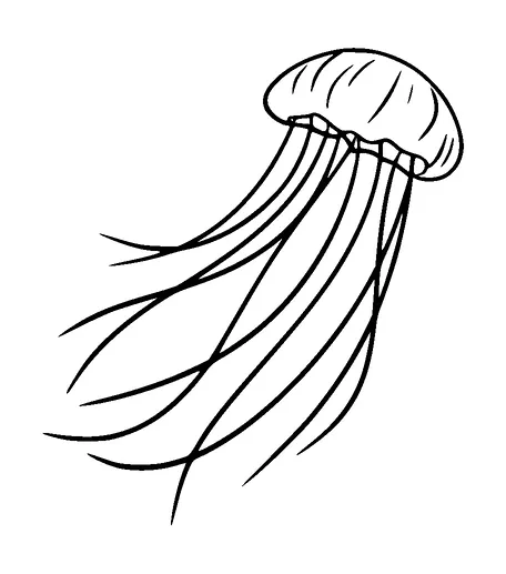 Jellyfish Tattoo Meaning, PNG and SVG