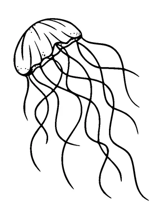 Jellyfish Tattoo Meaning, PNG and SVG