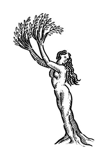 Lady With Plant Branch Hands Tattoo Meaning, PNG and SVG