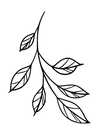 Leaves Tattoo Meaning, PNG and SVG