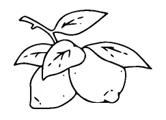 Lemon On Branch Tattoo Meaning, PNG and SVG