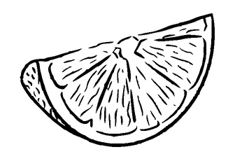 Lemon Slice Tattoo Meaning, PNG and SVG