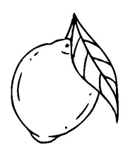 Lemon With Leaf Tattoo Meaning, PNG and SVG