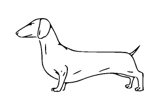 Long Dog Tattoo Meaning, PNG and SVG