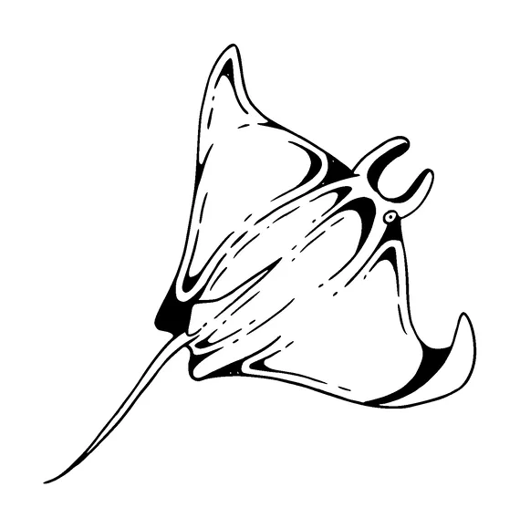 Manta Ray Tattoo Meaning, PNG and SVG