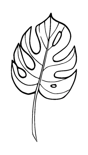 Monstera Leaf Tattoo Meaning, PNG and SVG