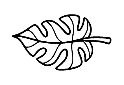 Monstera Leaf Tattoo Meaning, PNG and SVG