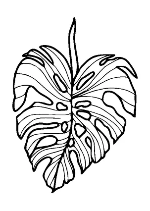 Monstera Leaf Tattoo Meaning, PNG and SVG