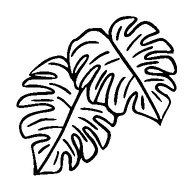 Monstera Leaf Tattoo Meaning, PNG and SVG