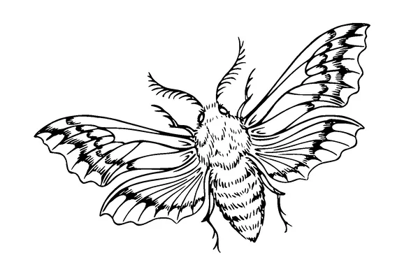 Moth Tattoo Meaning, PNG and SVG