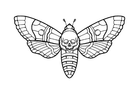 Moth With Skull On Back Tattoo Meaning, PNG and SVG