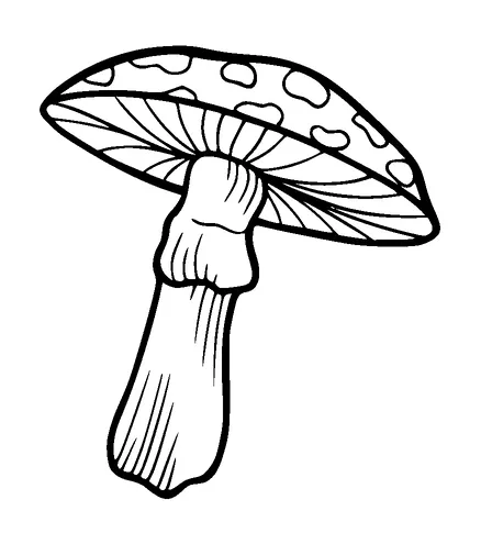 Mushroom Tattoo Meaning, PNG and SVG