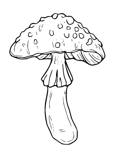 Mushroom Tattoo Meaning, PNG and SVG