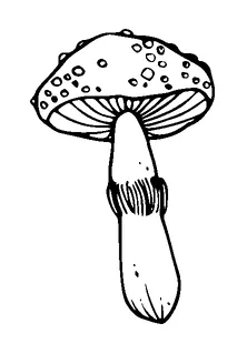 Mushroom Tattoo Meaning, PNG and SVG