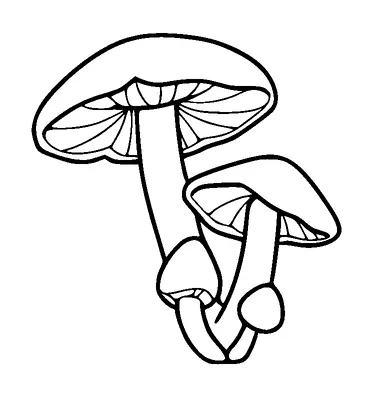 Mushrooms Tattoo Meaning, PNG and SVG