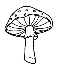 Mushrooms Tattoo Meaning, PNG and SVG