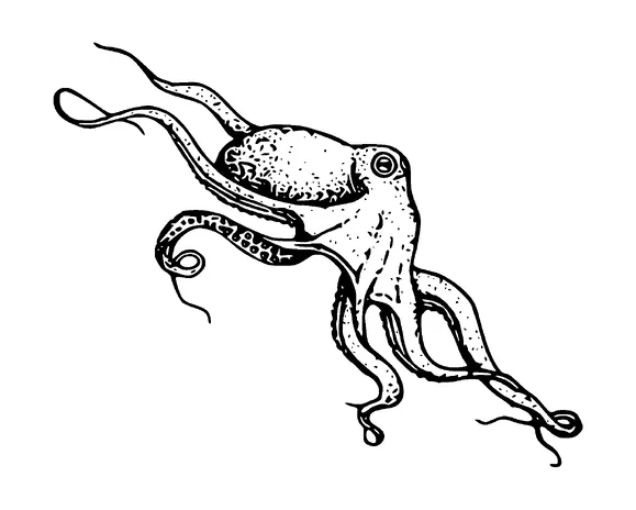 Octopus Tattoo Meaning, PNG and SVG