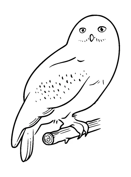 Owl Tattoo Meaning, PNG and SVG