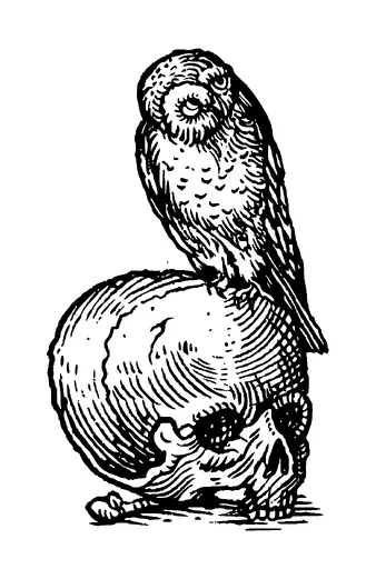 Owl On Skull Tattoo Meaning, PNG and SVG